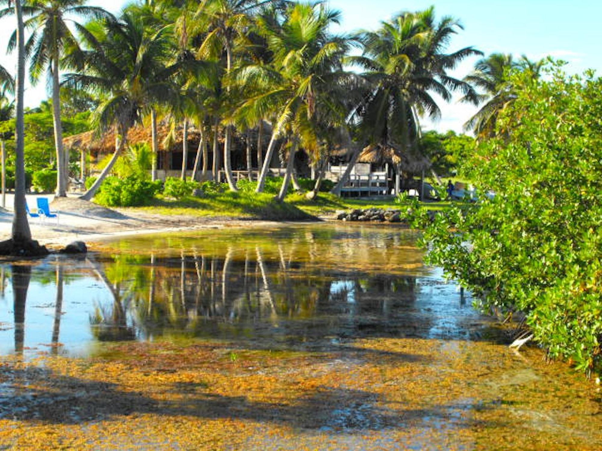מלון סקלאק Costa De Cocos מראה חיצוני תמונה